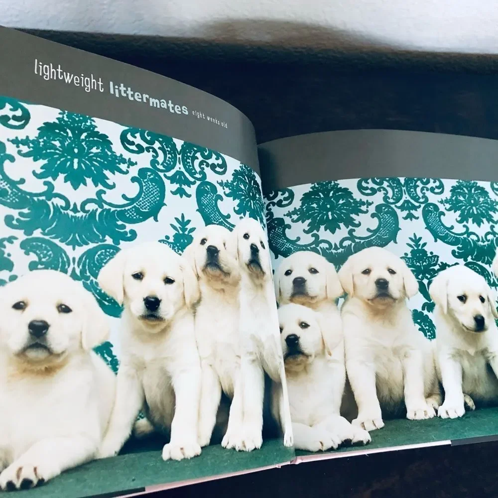Lightweight Littermates Puppy Dog Portrait Photo Book